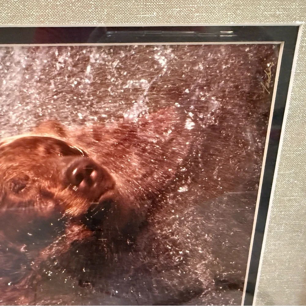 Jasper James Signed Framed Grizzly Bear Framed‎ Nature Photography 16x13”